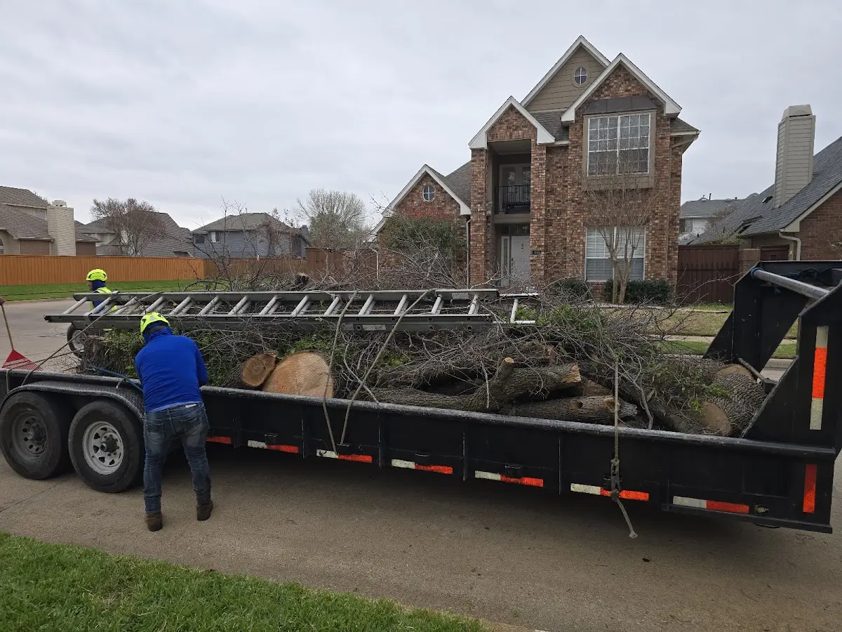 Expert Tree Fertilization with proper safety equipment in Rochelle Park